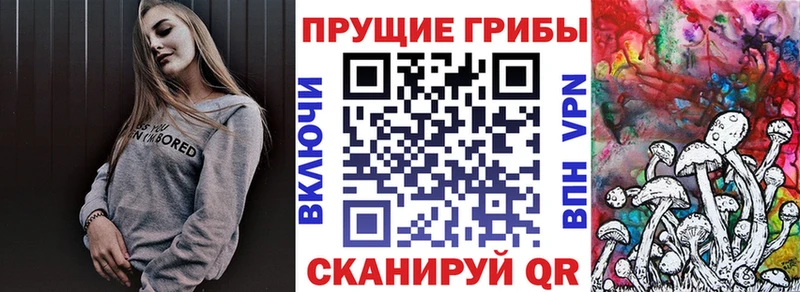 Галлюциногенные грибы GOLDEN TEACHER Бобров